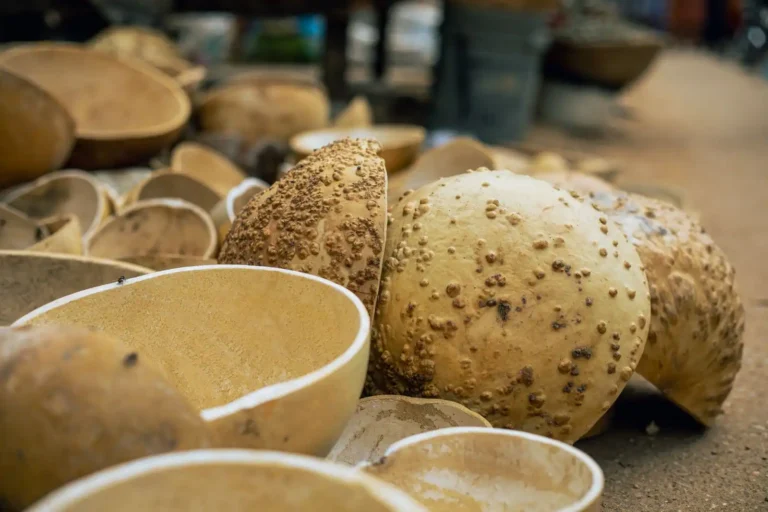 La kora, l&rsquo;instrument à cordes qui fait chanter l&rsquo;Afrique de l&rsquo;Ouest