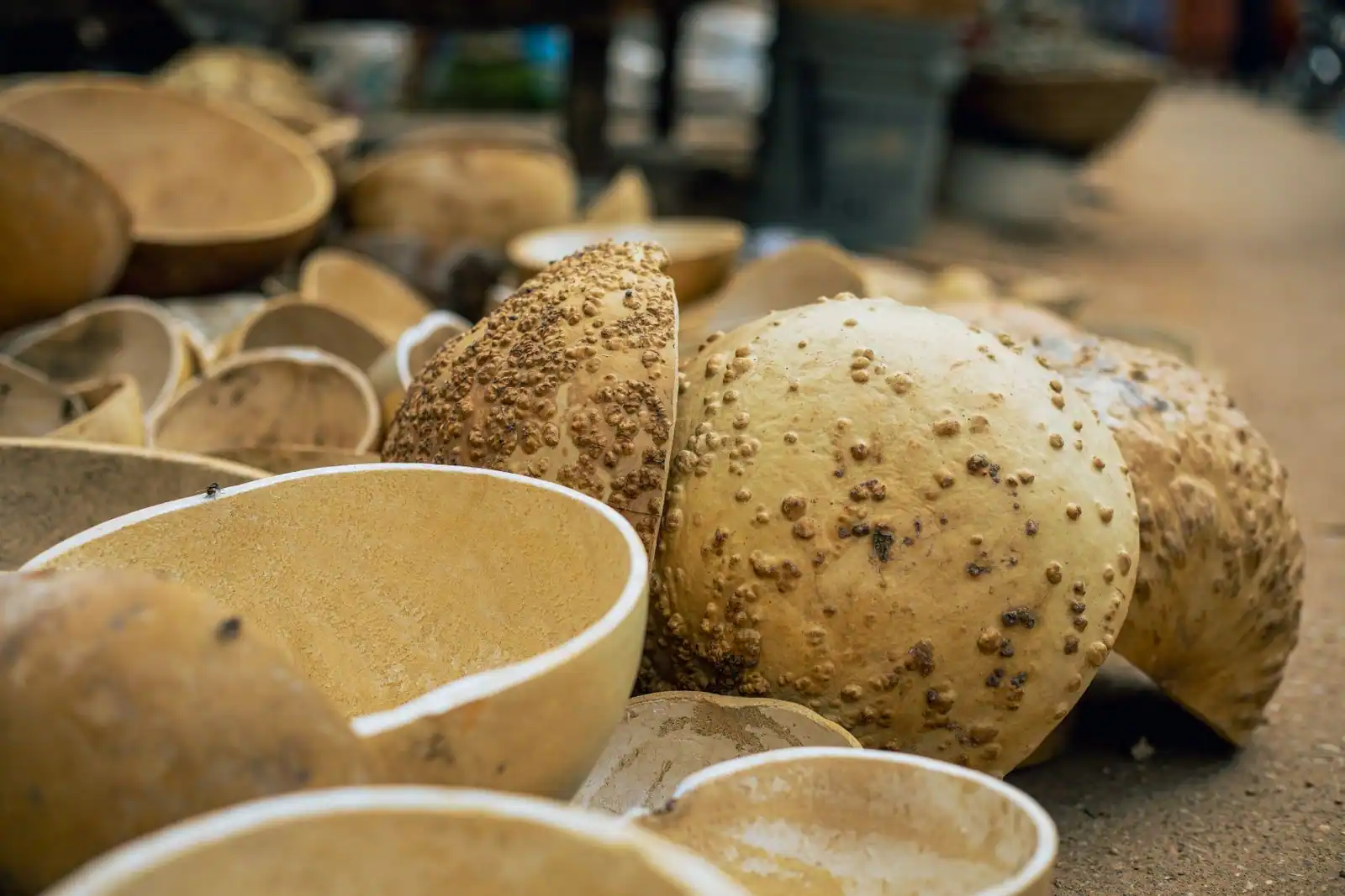 Calebasses séchées coupées sur un marché ouest-africain — c'est dans cette gourde qu'est taillée la caisse de résonance de la kora