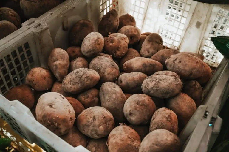 Noirmoutier côté gourmand : produits du terroir et calendrier de l&rsquo;île