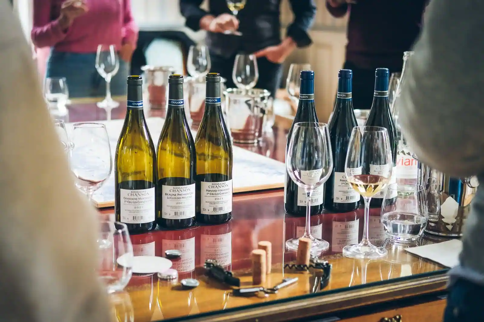 Plusieurs bouteilles de vin blanc et rouge alignées avec des verres sur une table de dégustation.