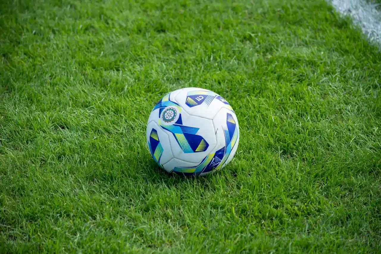 Ballon de football blanc et bleu posé sur la pelouse verte d'un terrain, près d'une ligne blanche