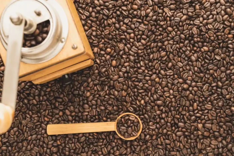 Café Ella : ce que ce nom désigne vraiment